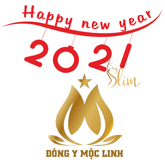 Slim-X3-Happy-new-year-2021-logo-1